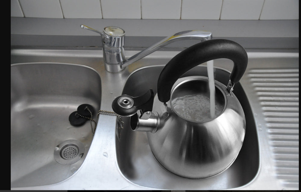 
                  
                    Bene Casa 2.5-quart stainless-steel stovetop tea kettle, removable, whistles
                  
                